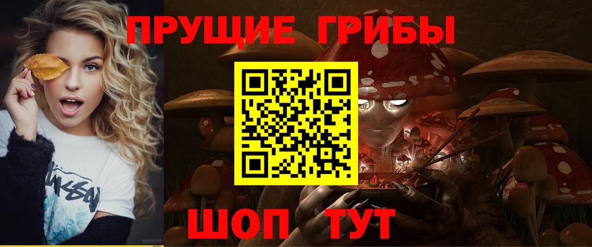 Псилоцибиновые грибы мухоморы  Вход с VPN  Лесозаводск 